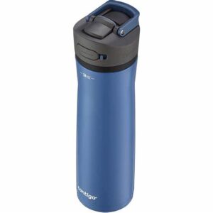 Contigo 24 oz Ashland Chill 2.0 Water Bottle Blueberry